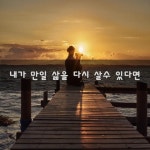내가 만일 삶을 다시 살수 있다면~ | 보배드림 자유게시판