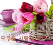 좋은아침... 활기찬 하루 보내셔요 | 보배드림 자유게시판 좋은아침...  활기찬 하루 보내셔요 | 보배드림 자유게시판