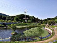 어제 다녀온 군포 초막골생태공원입니다 | 보배드림 자유게시판