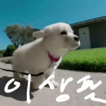 배고파서 시장갔다오네예... | 보배드림 자유게시판