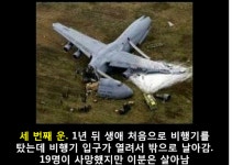 세상에서 가장 운좋은 사람... | 보배드림 자유게시판