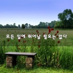 모든 일에 뛰어날 필요는 없다~ | 보배드림 자유게시판