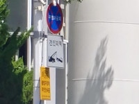 경찰의 불법주정차 추정 | 보배드림 자유게시판