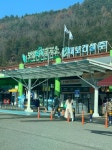 보성 녹차 좋아요~~ | 보배드림 자유게시판