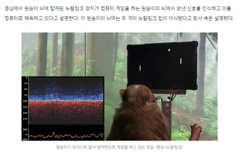 일론머스크 2022년에 사람 뇌에 칩 이식할 계획 | 보배드림 자유게시판