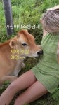 이뿐소쨩 | 보배드림 자유게시판