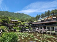 산청 | 보배드림 자유게시판