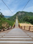 울렁다리 지나왔습니다 | 보배드림 자유게시판