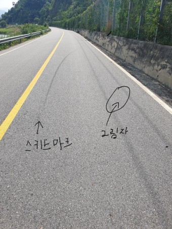스키드마크가 왜 이렇게 나온지 아시나요? | 보배드림 자유게시판