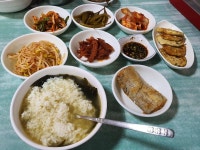 점심 먹고 일 합시다 | 보배드림 자유게시판