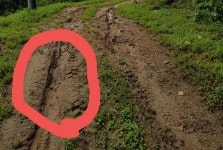 농로 복구?? 궁금합니다! | 보배드림 자유게시판