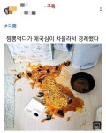국뽕 짬뽕 먹다 애국심이 차올라 경례한 사람 | 보배드림 자유게시판