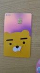 카카오페이카드 졸귀 | 보배드림 자유게시판