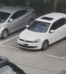 춘천인데 이거 제정신 맞나요? | 보배드림 자유게시판