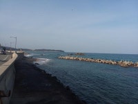 용바위 | 보배드림 자유게시판