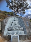 도착 | 보배드림 자유게시판