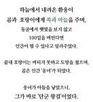 마늘 인지 보쌈인지 .... | 보배드림 자유게시판