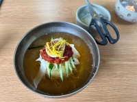 경주 밀면 맛집 ! | 보배드림 자유게시판