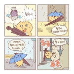 비오는 날 마중 나가는 콩물이 | 보배드림 자유게시판