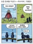 요즘 참새들이 허수아비 구별하는 법 | 보배드림 자유게시판