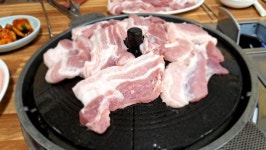 점심메뉴는...제주産 생고기+__+/ | 보배드림 자유게시판