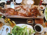 스타트 | 보배드림 자유게시판