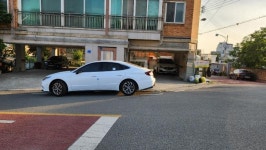 보배드림은 답을 알고있을거라는 친구 말에.. 마지막 희망을ㅜㅜ | 보배드림 자유게시판