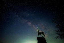 별사진 보구 가세요! | 보배드림 자유게시판