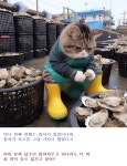 먼저 이른 저녁시작합니데이+__+;;; | 보배드림 자유게시판