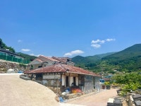 하죽마을….. | 보배드림 자유게시판