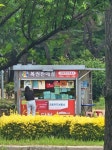 불법주정차 너는 로또 되지마라 | 보배드림 자유게시판