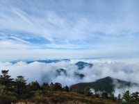 지리산 운해 구경하세요~ | 보배드림 자유게시판
