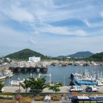 병어회를 먹었습니다. | 보배드림 자유게시판