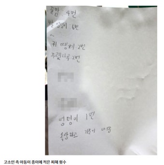 '손웅정 감독 아동학대 혐의 피소' | 보배드림 자유게시판