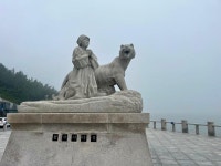 뽕……. | 보배드림 자유게시판