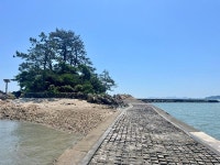 (뻘글) 소동섬…. | 보배드림 자유게시판