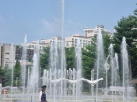 동탄 공원 | 보배드림 자유게시판