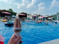 빵빠레:) | 보배드림 자유게시판