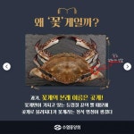 곶게 ㅡ> 꽃게로 변형 | 보배드림 자유게시판