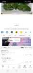 저녁때 쯤 소동이 같은 모쏠 관찰기. | 보배드림 자유게시판
