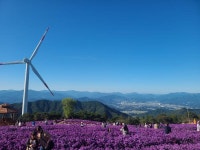 감악산 축제 | 보배드림 자유게시판