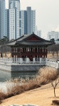 마실중.. | 보배드림 자유게시판