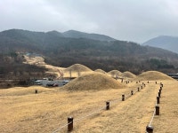 창녕에서는 역시……. | 보배드림 자유게시판