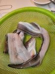 아나고구이 (붕장어구이 일명 바닷장어구이) | 보배드림 자유게시판
