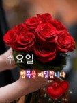 행복한 수요일 | 보배드림 자유게시판