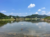산청에서 하동방향 국도….. | 보배드림 베스트글