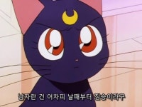 세일러문 명언甲ㄷㄷ...jpg | 보배드림 베스트글