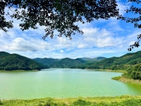 상사라떼……. ㅠ____ㅠ | 보배드림 베스트글