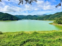 상사라떼……. ㅠ____ㅠ | 보배드림 베스트글