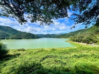 상사라떼……. ㅠ____ㅠ | 보배드림 베스트글